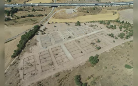 Başkan Ahmet Akın’dan 4 Ekim’de Anlamlı Müjde: Can Dostlara 75 Bin Metrekarelik Doğal Yaşam Alanı