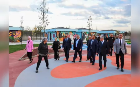 Sokak Hayvanları İçin Örnek Proje: Doğal Yaşam Kampüsü Yakında Açılıyor