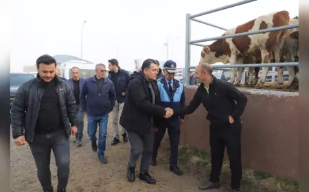Başkan Faruk Demir’den Hayvan Pazarına Ziyaret