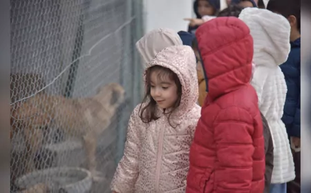 Miniklerden Can Dostlara Ziyaret: 800 Öğrenci Hayvan Sevgisini Yerinde Öğrendi