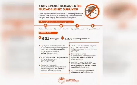 Tarım ve Orman Bakanlığı’ndan Kahverengi Kokarca ile Etkin Mücadele