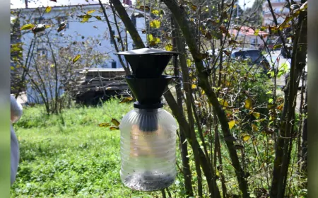 Trabzon’da Kahverengi Kokarca ile Yoğun Mücadele: 1,4 Milyon Metrekare Alan İlaçlandı