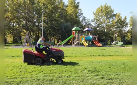 Eskişehir’de Parklar Güzelleşiyor: Budama Çalışmaları Tüm Hızıyla Sürüyor