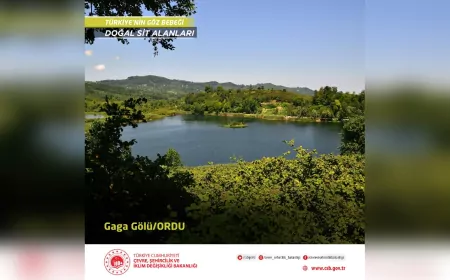 Gaga Gölü, Doğal Sit Alanı Olarak Koruma Altında