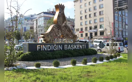 Giresun’un Kavşak ve Refüjleri Modern Peyzajla Güzelleşiyor