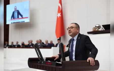 CHP’li Karakoz’dan Tarihi Taşköprü İçin Bakan Kurum’a Çağrı