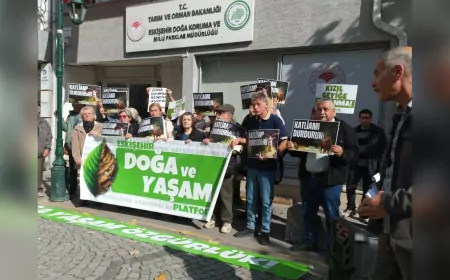 Doğa ve Yaşam Platformu’ndan “Av İhalesi” Tepkisi: “Mahkeme Kararına Rağmen Katliam Sürüyor!”