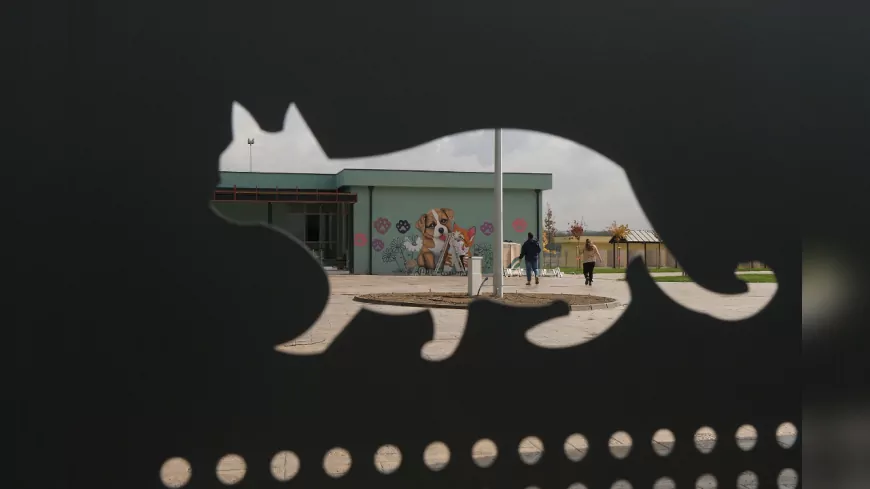 Doğal Yaşam Kampüsü, Grafiti Sanatıyla Renkleniyor