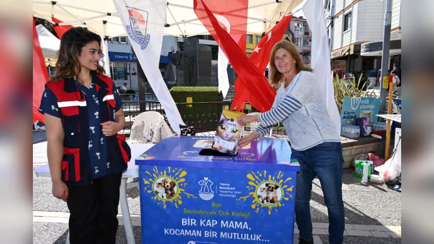 Yalova Belediyesi’nden Sokak Hayvanları İçin “Askıda Mama” Dayanışması