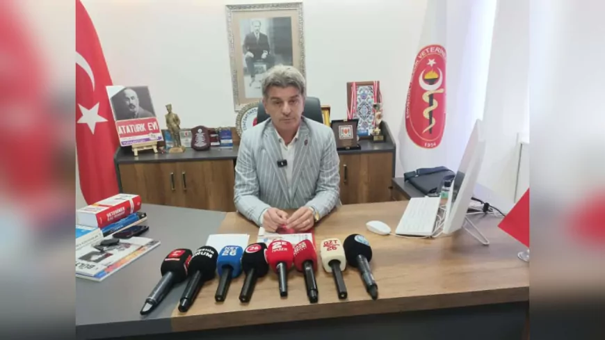 Veteriner Hekimler Odası’ndan Barınak Çağrısı: “Bu Sorumluluk Hepimizin”