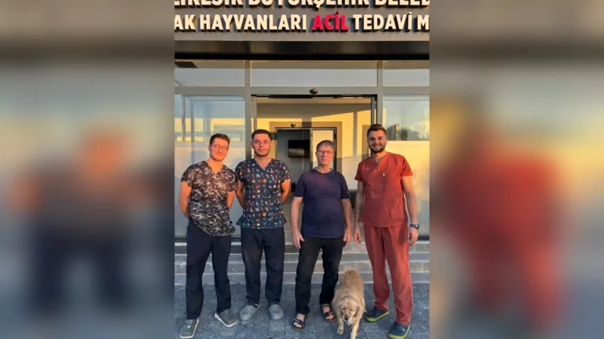 Balıkesir’de Bir İlk: Gofret Hayata Döndü, Yeni Yuvasına Kavuştu