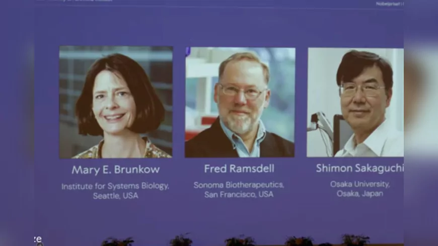 Nobel 2025 Tıp Ödülü, Bağışıklık Sistemi Üzerine Çalışmalarıyla 3 Bilim İnsanı Arasında Paylaşıldı