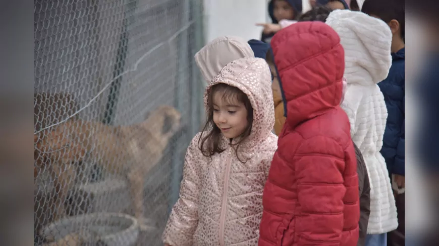 Miniklerden Can Dostlara Ziyaret: 800 Öğrenci Hayvan Sevgisini Yerinde Öğrendi