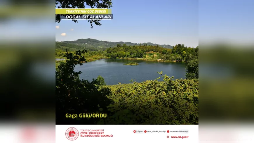 Gaga Gölü, Doğal Sit Alanı Olarak Koruma Altında