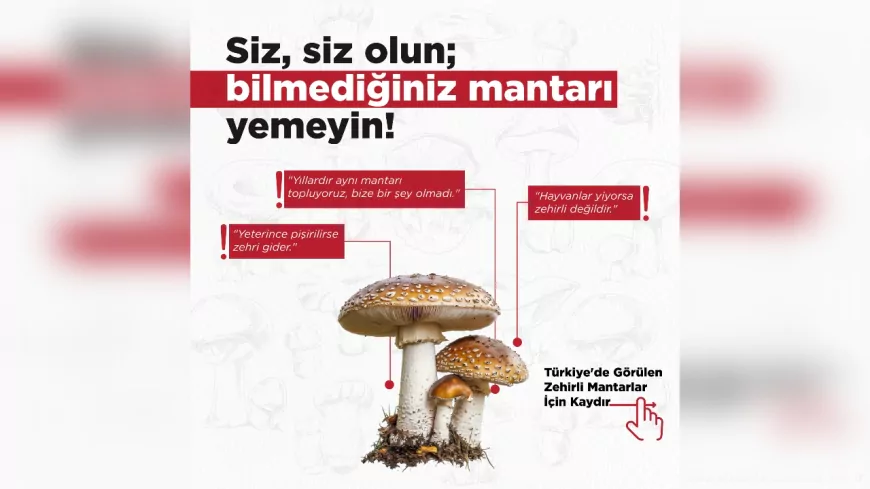 Tarım ve Orman Bakanlığı Uyardı: Bilinçsizce Toplanan Mantarlar Ölümcül Olabilir