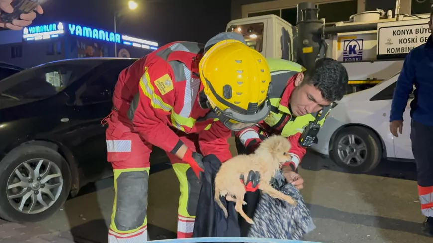 Konya’da Kanalizasyona Düşen “Sütlaç” 6 Saatlik Operasyonla Kurtarıldı
