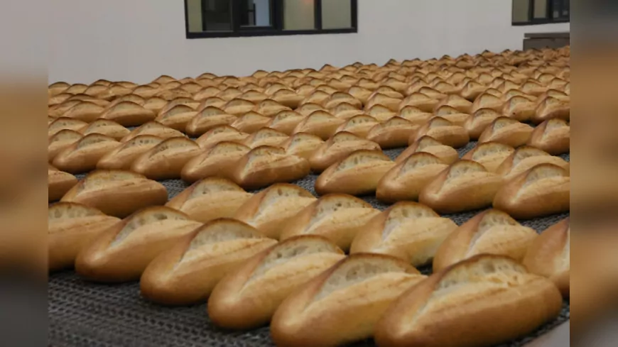 Eskişehir Halk Ekmek’te Fiyat Güncellemesi: Ekmek 11 TL Oldu