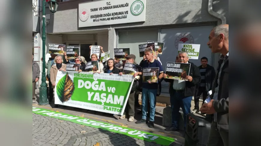 Doğa ve Yaşam Platformu’ndan “Av İhalesi” Tepkisi: “Mahkeme Kararına Rağmen Katliam Sürüyor!”
