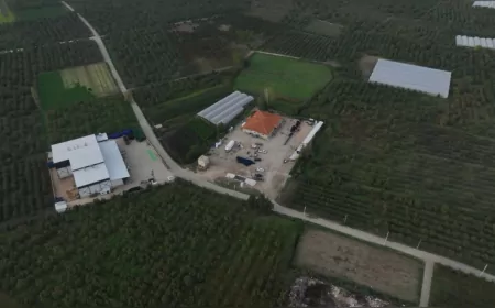 Bursa Büyükşehir’den Kırsala Güçlü Destek: Serme Mahallesi’ne Konukevi ve 40 Tonluk Kantar Kazandırıldı