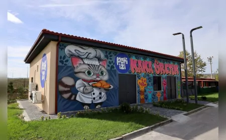 Sakarya’da Yemek Atıkları Mamaya Dönüşüyor: Sokak Hayvanlarına Sürdürülebilir Beslenme Desteği