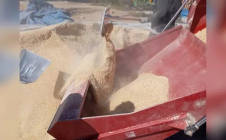 Büyükşehir’den Üreticiye Yerli Yem ve Balya Desteği: Tohumdan Çuvala Tamamen Belediyeden