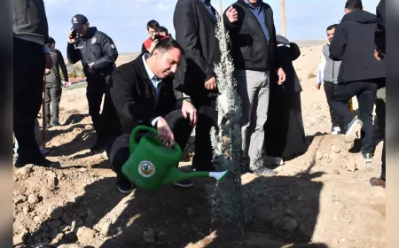 Beş Bin Fidan Beylikova’da Toprakla Buluştu