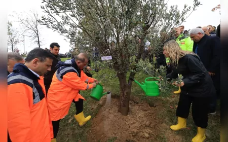 İBB’den Anlamlı Ağaçlandırma: Tutuklu Belediye Başkanları ve Bürokratlar İçin Fidanlar Dikildi