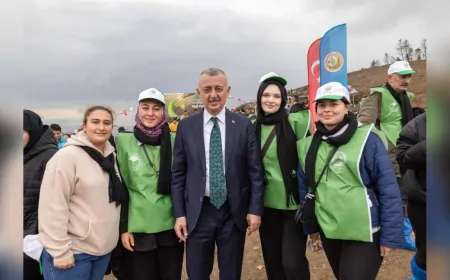 Karamürsel’de Yanan Alan 3 Bin Fidanla Yeniden Hayat Buluyor