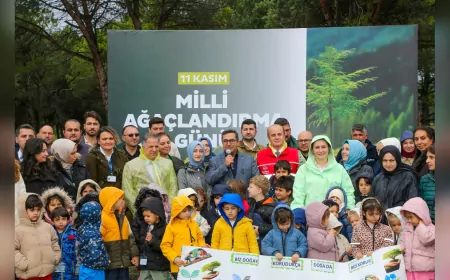 Beykoz’da 111 Fidan Toprakla Buluştu: Geleceğe Nefes, Doğaya Umut