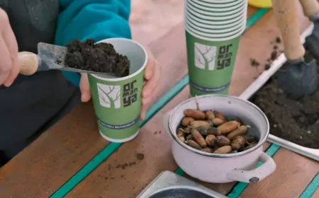 Kocaeli’de “Yeşil Vatan” Seferberliği: Ormanya ve Kuzuyayla’da Fidanlar Toprakla Buluştu