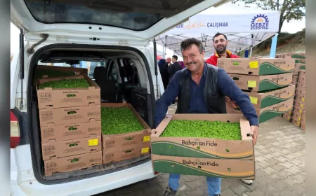 Kocaeli Büyükşehir'den Gebzeli Çiftçiye 500 Bin Sebze Fidesi Desteği