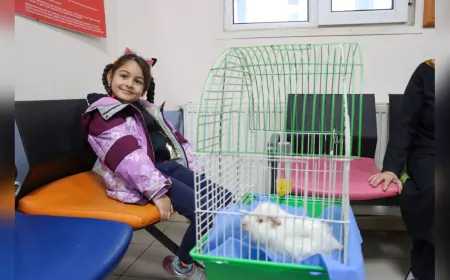 Sevimli Ginepig Yeni Yuvasına Kavuştu