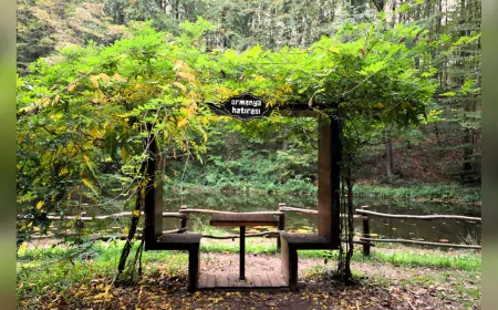 Sonbaharın Renkleriyle Büyüleyen Ormanya, Ziyaretçilerini Bekliyor