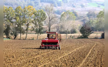 Kocaeli Büyükşehir Belediyesi’nden Çiftçiye Tohum ve Sulama Desteği