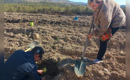 Seyitgazi’de Umut Yeşerdi: Engelli Bireylerden Fidan Dikimiyle Anlamlı Destek