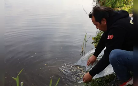 Porsuk Çayı’na 5 Bin Aynalı Sazan Bırakıldı: Doğal Yaşama Güçlü Destek