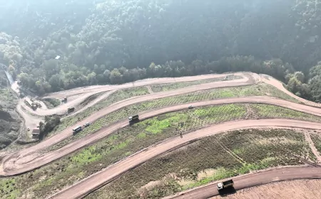 Kocaeli’ye 3 Bin 300 Toros Sediri: Belen Mahallesi Ağaçlandırılıyor