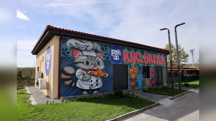 Sakarya’da Yemek Atıkları Mamaya Dönüşüyor: Sokak Hayvanlarına Sürdürülebilir Beslenme Desteği