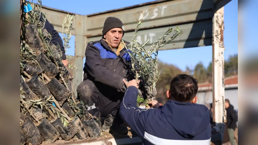 Eskişehir Büyükşehir Belediyesi’nden Üreticiye Zeytin Fidanı Desteği