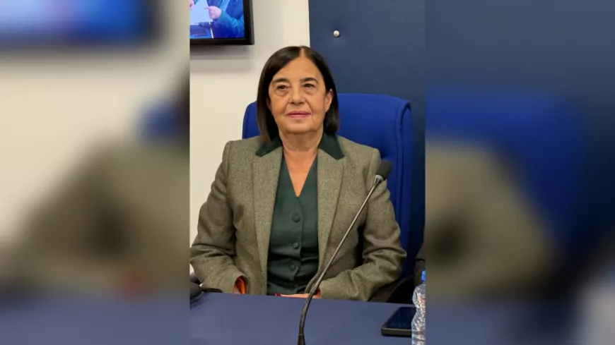 CHP’li Süllü’den Enerji Bakanı’na Madencilik Tepkisi: “Altınları mı buzdolabına koyup yiyeceğiz?”