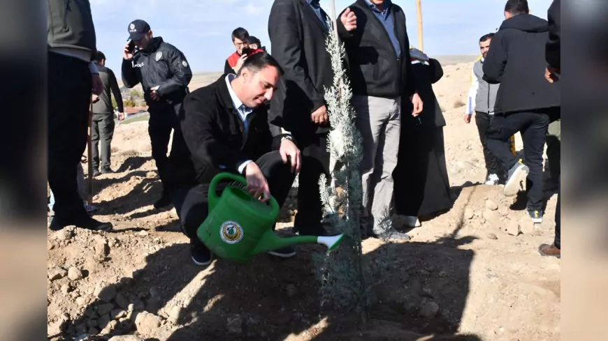 Beş Bin Fidan Beylikova’da Toprakla Buluştu