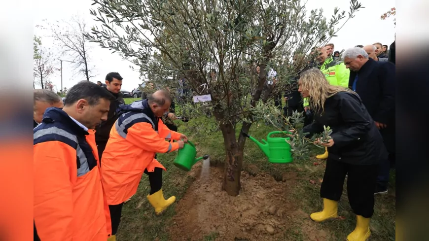 İBB’den Anlamlı Ağaçlandırma: Tutuklu Belediye Başkanları ve Bürokratlar İçin Fidanlar Dikildi