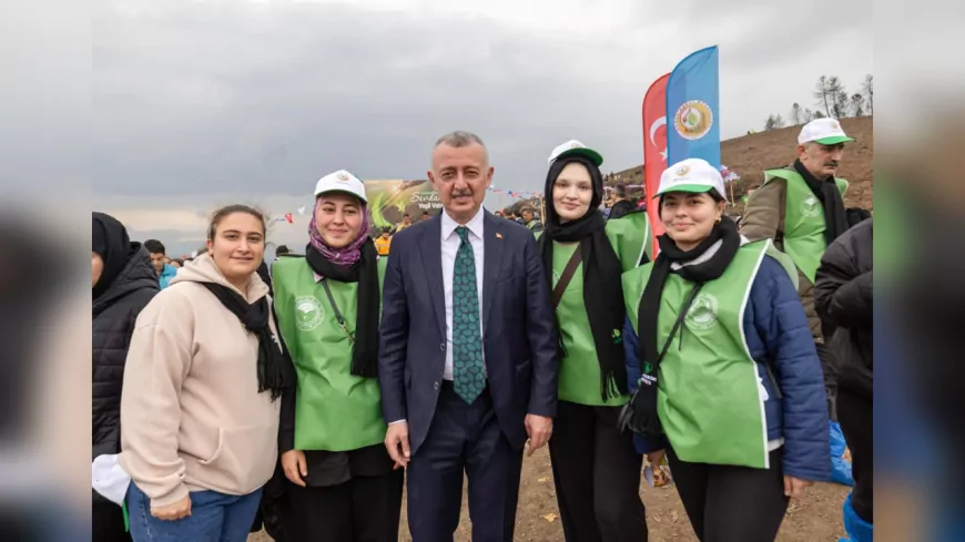 Karamürsel’de Yanan Alan 3 Bin Fidanla Yeniden Hayat Buluyor