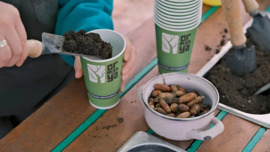 Kocaeli’de “Yeşil Vatan” Seferberliği: Ormanya ve Kuzuyayla’da Fidanlar Toprakla Buluştu