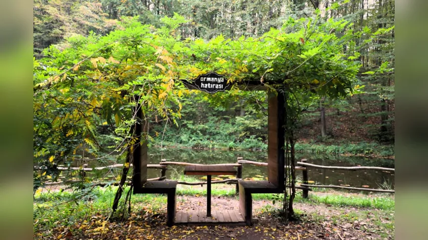 Sonbaharın Renkleriyle Büyüleyen Ormanya, Ziyaretçilerini Bekliyor