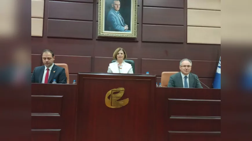 Eskişehir’de Sokak Hayvanları İçin Yeni Uygulama: Küçük İlçelerden Büyükşehir’e Teslim Sistemi