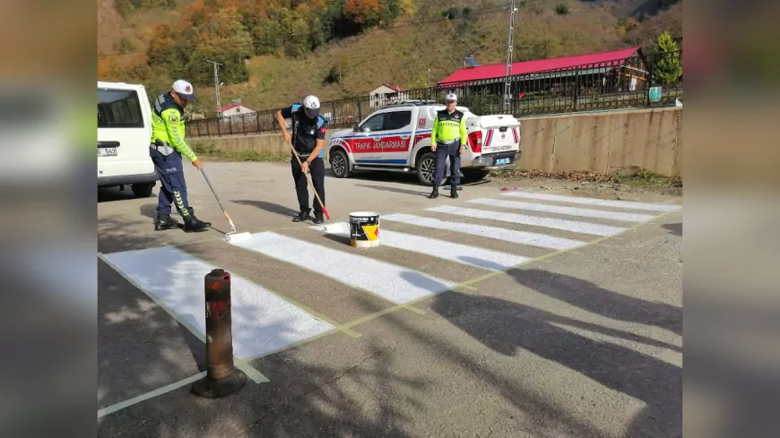 Giresun Zabıtasından Köy Okullarına Yaya Geçidi Desteği