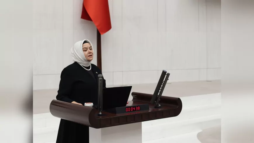 Milletvekili Ayşen Gürcan’dan 25 Kasım Mesajı: “Şiddete Karşı Sıfır Toleransla Mücadeleye Devam”