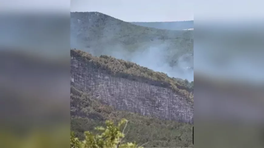 Seyitgazi’de Orman Yangını Davasında Takipsizlik Kararı: CHP’den Adalet Tepkisi