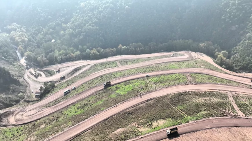 Kocaeli’ye 3 Bin 300 Toros Sediri: Belen Mahallesi Ağaçlandırılıyor